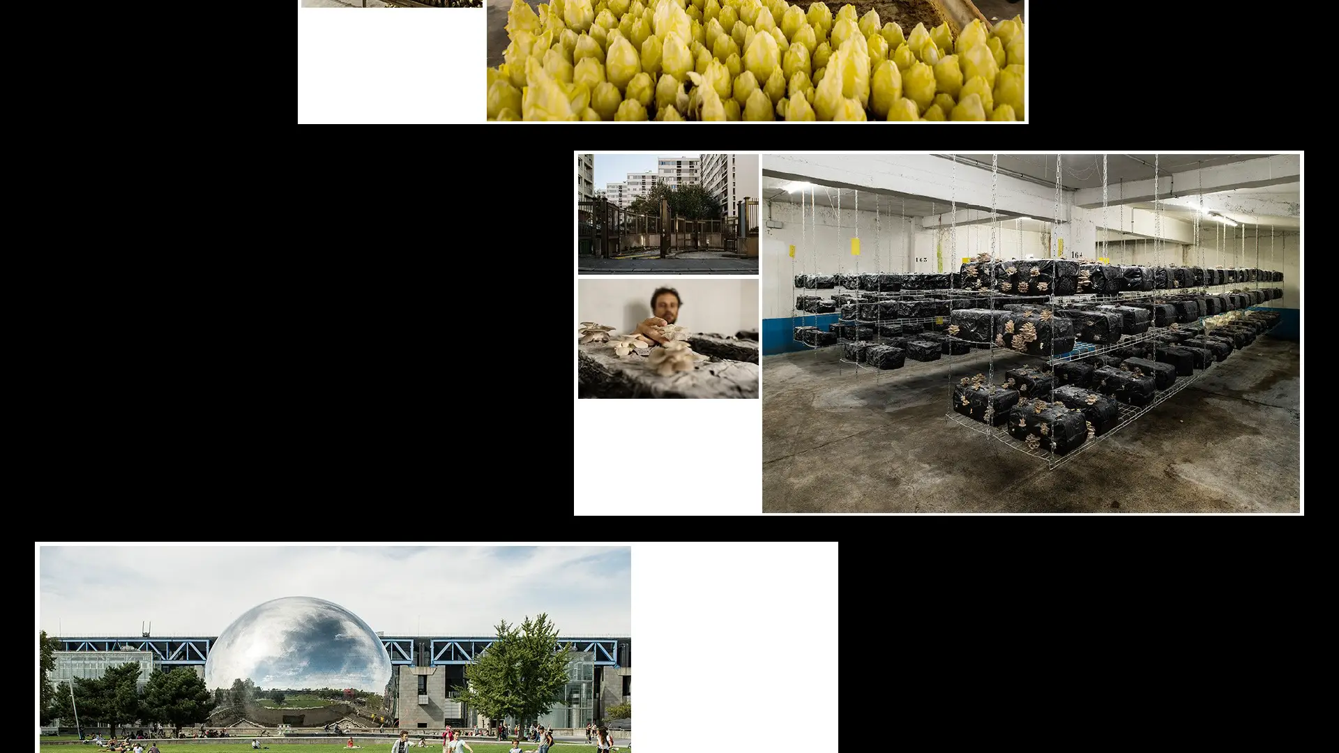 159_04.png